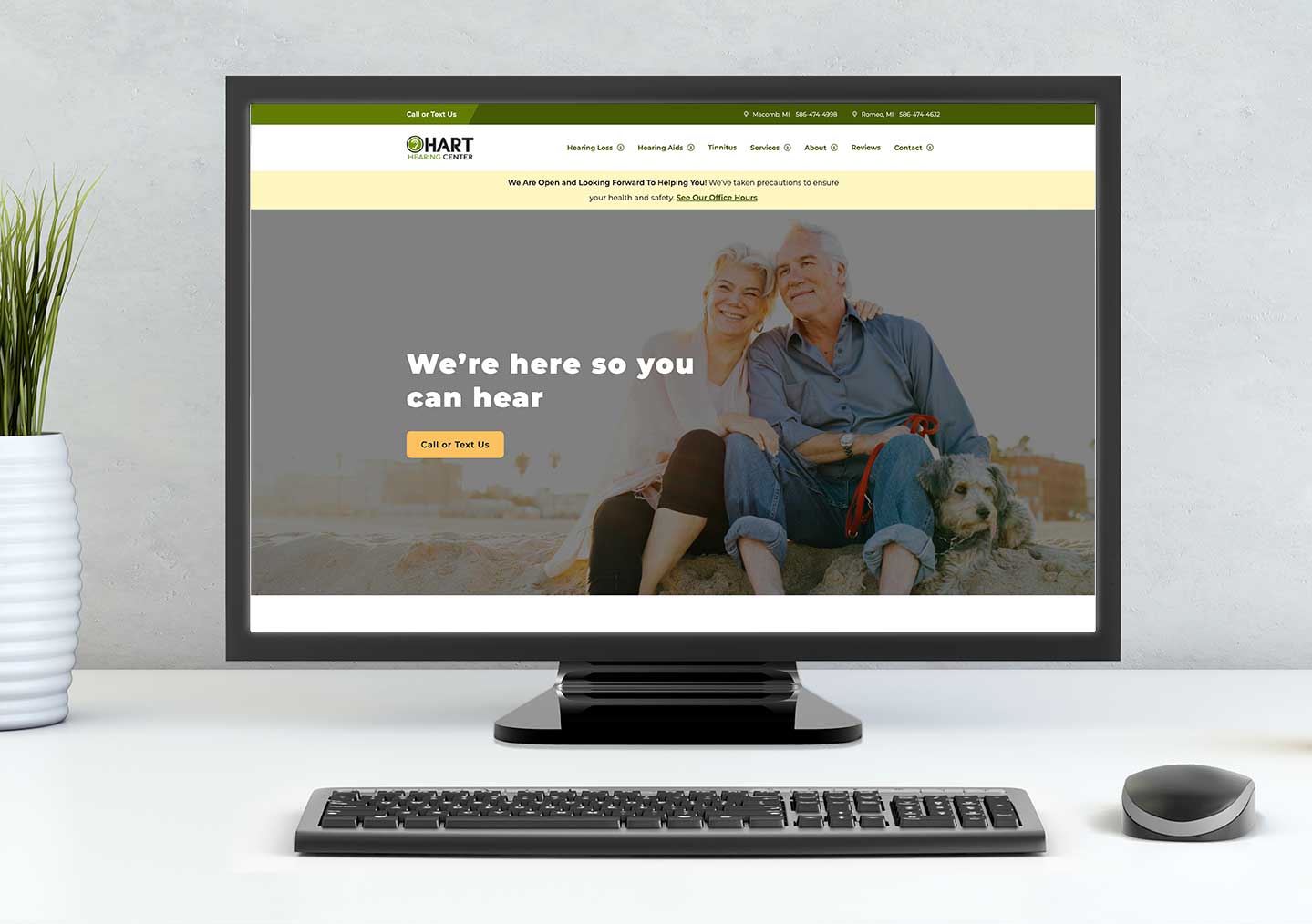 Top Website Design #2 for Audiologists